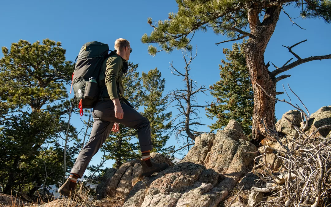 What Does “PFC Free” Mean & Why Is It Important?